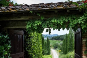 Nasce il Distretto Rurale del Chianti, nell&rsquo;area di produzione del Chianti Classico. Obbiettivo? Attrarre investimenti per sviluppo e valorizzazione del territorio integrando politiche economiche e politiche del territorio, pubblico e privato