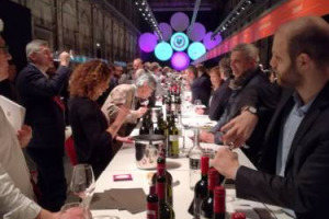 Chianti Classico Collection 2017: i 2015 promettono molto bene specialmente dal punto di vista della piacevolezza del sorso. Riserva 2014 un po&rsquo; pi&ugrave; problematica, per le difficolt&agrave; del millesimo, ma con ottime eccezione. La top 10 di WineNews