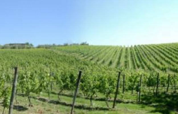 Italia