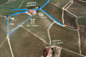 Le opere degli artisti che hanno reso grande il parco artistico La Court (Luzzati, Nespolo...), voluto dal produttore piemontese Michele Chiarlo, celebrate in cantina: il via l&rsquo;11 marzo con &ldquo;Stones-sculture&rdquo; e le installazioni di Dedo Roggero Fossati