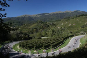 In bicicletta per 1.500 chilometri attraverso l&rsquo;Europa nel nome del Prosecco, dalle colline di Valdobbiadene a Bellavita Expo London (17-19 luglio): ecco #ProseccoToLondon, iniziativa firmata dalla griffe Villa Sandi, Prosecco Cycling e Marca Treviso