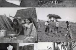 VOLTI E MEMORIE RACCONTANO LA RIFORMA AGRARIA IN ITALIA E LA NUOVA FACCIA DEL BELPAESE AGRICOLO IN AGRISTORIA.IT, ARCHIVIO ONLINE BY ARSIAL E CINECITTÀ LUCE: LA STORIA DELL’ITALIA RURALE DI QUEGLI ANNI ORA È A PORTATA DI UN CLICK