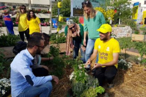Dall’orto portatile da tenere con sè anche in ufficio a quello verticale nelle case, per Coldiretti/Ixè gli italiani sono un popolo di “hobby farmers”. Focus: il decalogo dell’orto perfetto