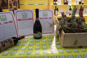 Dal ritorno della pigiatura con i piedi alle oche che concimano il vigneto fino al vino ottenuto da uve &ldquo;ammuffite&rdquo;, a Vinitaly, davvero, tutto quanto fa spettacolo: ce lo ricorda la Coldiretti che a Verona &ldquo;porta l&rsquo;innovazione nella tradizione&rdquo; ...