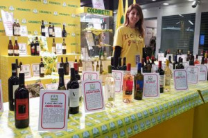 Puntualmente aggiornato da WineNews, il lungo elenco di vip-vigneron &ldquo;folgarati&rdquo; sulla via di Bacco, con la Coldiretti diventa a Vinitaly una rassegna delle bottiglie prodotte da Sting ad Al Bano, da Vespa a D&rsquo;Alema. &ldquo;82% di italiani sogna una vigna&rdquo;