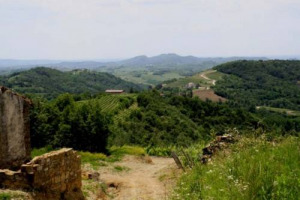 Il pi&ugrave; bel territorio del vino italiano? I paesaggi del Collio friulano, uno dei terroir pi&ugrave; famosi al mondo per la produzione di vini bianchi. Parola delle enoteche italiane riunite in Vinarius, che hanno consegnato il loro &ldquo;Premio al Territorio&rdquo;