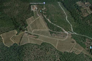 Il gruppo Fontanafredda di Oscar Farinetti investe in Chianti Classico: acquisito per oltre 5 milioni di euro Il Colombaio di Cencio, 110 ettari a Gaiole in Chianti, di cui 15 vitati (a cui si aggiungono 7 ettari in affitto). E gi&agrave; punta la Sicilia