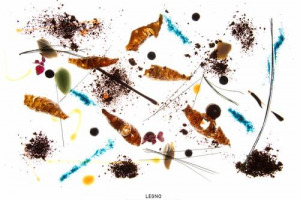 QUADRI ALLA POLLOCK O ALLA KANDINSKY, CON NERO DI SEPPIA, POMODORI, RUCOLA, PERE, BARBABIETOLA, TABASCO: 14 GRANDI CHEF ITALIANI RIUNITI DA ALFONSO CATALANO NEL PROGETTO CREATIVO “COLORTASTE. LA CUCINA SI FA ARTE”, E LA TAVOLOZZA DIVENTA GASTRONOMICA