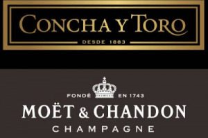 Il cileno Concha y Toro per i vini fermi, il francese Mo&euml;t & Chandon per gli sparkling wine: ecco i marchi enoici top al mondo secondo la &ldquo;The world&rsquo;s most powerful spirits & Wine brands 2015&rdquo; di &ldquo;Intangible Business&rdquo;. Con l&rsquo;Italia quasi assente...