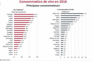 Gli Stati Uniti, come noto, e il Portogallo, un po&rsquo; a sorpresa: ecco i due Paesi leader, il primo per consumi di vino complessivi, il secondo per consumi pro capite, secondo i dati Oiv