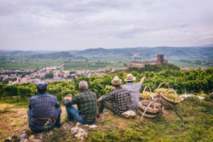 &ldquo;Giahs, paesaggio rurale e biodiversit&agrave; per un Soave che guarda al futuro&rdquo;. A &ldquo;Soave Versus&rdquo; il percorso verso il riconoscimento Fao, che mira alla salvaguardia del territorio, ma anche al miglioramento del reddito di viticoltori e agricoltori