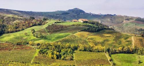 I vigneti Conte Vistarino in Oltrepò Pavese