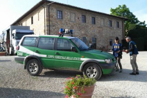 Caporalato in agricoltura, qualcosa si muove: nel cuore del Chianti Fiorentino finiscono nel mirino del Corpo Forestale dello Stato cittadini pakistani, italiani e aziende del vino, obiettivo di 30 perquisizioni e 12 informazioni di garanzia