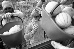 “L’illegalità nei campi non è un accidente dal quale non ci si può liberare. Ancc-Coop dimostra che ci può essere legalità”. Parola della presidente della Camera Laura Boldrini, tra gli scatti della mostra della Coop “La buona terra” a Montecitorio