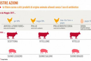 Una filiera della carne che guardi di più alla salute degli animali, per eliminare l’uso di antibiotici e contribuire a combattere “antibiotico resistenza” che molte persone stanno sviluppando. È l’obiettivo del progetto “Alleviamo la salute” di Coop