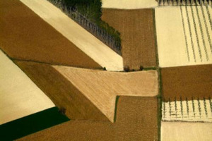 Quando il paesaggio vinicolo diventa arte: ecco &ldquo;winescapes&rdquo;, la mostra del fotografo inglese Mark Cooper, che ha scelto il Monferrato come patria elettiva. A Benevento, da oggi al 22 giugno. Con il Congresso sui paesaggi di Citt&agrave; del Vino-Unesco