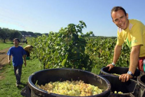 400 cooperative attive dalla coltivazione all’industria alimentare, al commercio, per 4.000 lavoratori dipendenti e un valore alla produzione di 200 milioni di euro: sono i numeri dell’agricoltura sociale in Italia di For.Agri. Focus: le case history