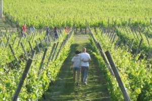 Il turismo enogastronomico in Italia è sempre più importante, e la Bit - Borsa Internazionale del Turismo di Milano (2-4 aprile 2017), gli dedica un’area tematica ad hoc, “A Bit of Taste”, tra show-cooking e convegni