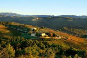 119 milioni di euro investiti in pochi anni tra Chianti Classico (Dievole), Montalcino (Poggio Landi e Podere Brizio) e Bolgheri (Le Colonne e Tenuta Meraviglia): il &ldquo;regno vinicolo italiano&rdquo; del petroliere argentino Alejandro Bulgheroni