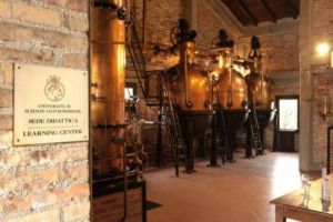 CRISI: DISTILLERIE IN ITALIA SOFFRONO MA RESISTONO E CREDONO IN RIPRESA. VENDITE, INVESTIMENTI E OCCUPAZIONE TENGONO IN TERZO TRIMESTRE 2012. NOTA DOLENTE LO STATO FINANZIARIO: IL 62% FRONTEGGIA GLI IMPEGNI FINANZIARI CON DIFFICOLTÀ. COSÌ ASSODISTIL