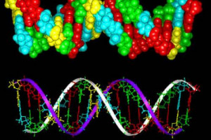 VINO, ANALISI E TRACCIABILITA’: MASSIMO VINCENZINI (UNIVERSITA’ DI FIRENZE): “CHISSA’ CHE PRIMA O POI NON SI ARRIVI A CAPIRE L’ORIGINE DALL’ANALISI DELLA BOTTIGLIA. GIA’ PIU’ FACILE CAPIRE CHE VITIGNI CI SONO, O SE E’ UN VINO MONOVARIETALE”