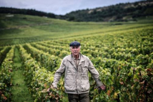 Quando si dice, senza abusare del termine, asta da record: i lotti di &ldquo;Celebration of Burgundy&rdquo;, organizzata da Hart Davis Hart, raccolgono 5,6 milioni di dollari con il 100% dei lotti venduti, Roman&eacute;e-Conti e Armand Rousseau sugli scudi