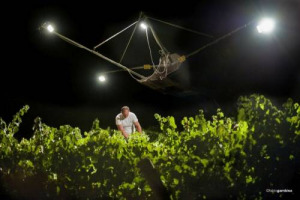 Tra le prime vendemmie dell&rsquo;anno, ce n&rsquo;&egrave; una speciale, e sempre pi&ugrave; al passo con i tempi, che inizia al tramonto: la raccolta notturna dello Chardonnay a Donnafugata (10 agosto per San Lorenzo). Antonio Rallo: &ldquo;una pratica lungimirante, oggi diffusa&rdquo;