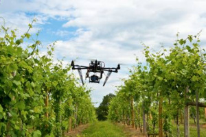 Mettere la tecnologia dei droni a sostegno della prevenzione delle malattie della vita: in Francia ci credono davvero ed i vigneron di Bordeaux e Borgogna stanziano 1,7 milioni di euro per un progetto che durer&agrave; 36 mesi