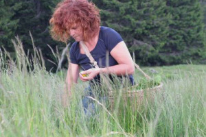 “Foraging-mania”, la raccolta di alimenti in natura che diventano ingredienti per la “cucina spontanea”. E c’è chi ne ha fatto un lavoro abbandonando i fornelli di un ristorante stellato, come i fratelli Cunaccia, in Trentino, con “Primitivizia”