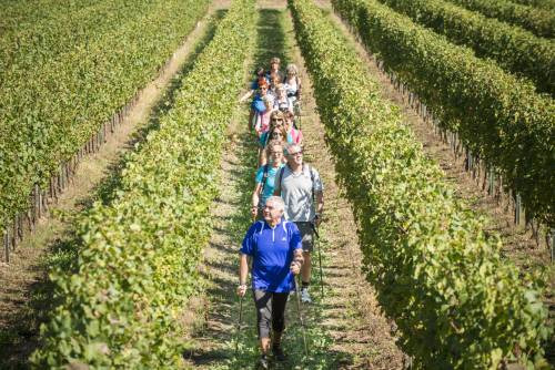 Il futuro del turismo del vino in Italia, le diverse vedute di Mtv e Città del Vino