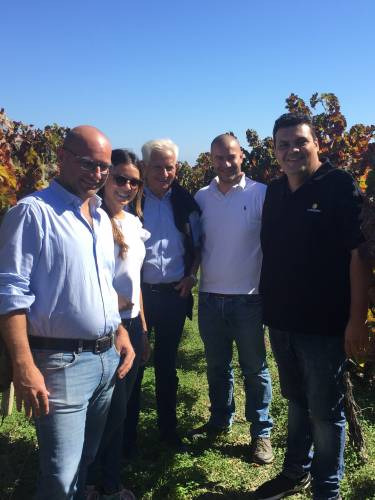 Le cantine con ricerca nel Dna, vere enciclopedie ampelografiche dei territori: la storia di Librandi in Calabria