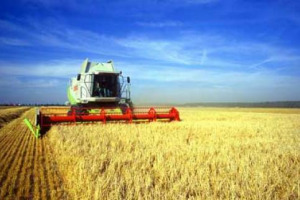 SI PARLA SPESSO DELLA PAC, MA COSA SUCCEDE AL DI LÀ DELL’OCEANO? WASHINGTON HA VARATO IL FARM BILL, CHE DEFINISCE LE LINEE GUIDA E LE MODALITÀ DEL SOSTEGNO ALL’AGRICOLTURA CHE, IN 10 ANNI, DISTRIBUIRÀ RISORSE PER 1.000 MILIARDI DI DOLLARI