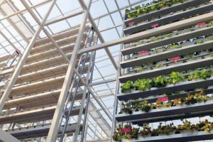 ORTI IN CITTA’ E ORTI VERTICALI, NON SOLO UNA MODA DA “HIPSTER”: A SINGAPORE NASCE LA PRIMA FATTORIA VERTICALE URBANA AL MONDO, CON 120 TORRI DI ALLUMINIO CHE DANNO ALLA CITTA’ MEZZA TONNELLATA DI PRODOTTI AL GIORNO