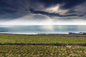 Expo rilancia il ruolo degli agricoltori “custodi del paesaggio”. “Eroici” come le loro viti o produttori di cibo buono e sostenibile, soprattutto giovani, è l’invito anche del Papa. Cibo e paesaggio celebrati nell’arte a Expo. Focus: Expo & giovani