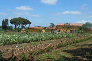 LA TENUTA DI FIORANO, AZIENDA BIOLOGICA &ldquo;ANTELITTERAM&rdquo; A 15 CHILOMETRI DAL COLOSSEO, NELLA CAMPAGNA DI ROMA, RINASCE NEL PROGETTO DELLA FAMIGLIA ANTINORI. TUTTO DEDICATO, COME IN ORIGINE, AL BIOLOGICO, MA ANCHE ALL&rsquo;EDUCAZIONE PER I PI&Ugrave; PICCOLI