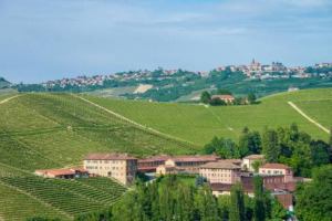 Come splende la &ldquo;Wine Star&rdquo; di Fontanafredda: la storica realt&agrave; piemontese, capofila del gruppo del fondatore di Eataly Oscar Farinetti, &egrave; stata nominata &ldquo;European Winery of the Year&rdquo; dal magazine Us &ldquo;Wine Enthusiast&rdquo; per i suoi &ldquo;Wine Star Awards&rdquo;