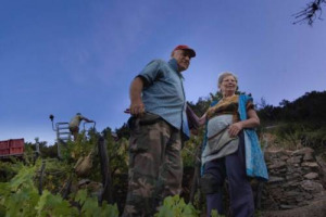 I Forlini Cappellini, vignaioli in Riomaggiore, nelle Cinque Terre, vincono il Premio Romano Levi per il Vignaiolo dell&rsquo;Anno: la premiazione a Piacenza, il 25 e 26 novembre, nel Mercato Fivi