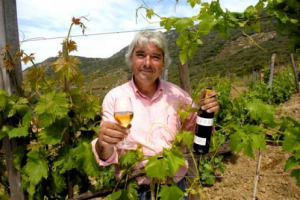 Viticoltura &ldquo;eroica&rdquo;, quando l&rsquo;ostacolo maggiore &egrave; la burocrazia: il vigneron dell&rsquo;isola toscana del Giglio Francesco Carfagna rimuove sterpaglie da 100 mq di suo terreno e finisce sanzionato con 8.000 euro di multa e 11 giorni di carcere