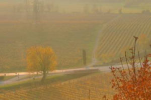 In agenda: 50 anni Franciacorta e Vi.Vite a Milano, San Leonardo in verticale con Fis, i tasting per tutti da SignorVino, &ldquo;Il Trono di Spade&rdquo; da Masciarelli, il Tuscan Rewind-Trofeo Castello Banfi, Spirito di Vino e &ldquo;Trentodoc Bollicine sulla Citt&agrave;&rdquo;