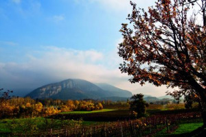 Il Franciacorta &egrave; lo spumante pi&ugrave; conosciuto nel Belpaese, e la percezione del suo valore cresce sul fronte della qualit&agrave;, del prezzo e del prestigio: a dirlo la ricerca &ldquo;Gli italiani, il Franciacorta e la Franciacorta&rdquo; di AstraRicerche