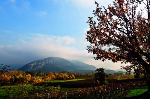 AstraRicerche: il Franciacorta, il re degli spumanti metodo classico italiani