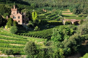 LA FRANCIACORTA IN FESTA CON GLI ENO-APPASSIONATI: IL 18 E 19 SETTEMBRE DI SCENA IL FESTIVAL &ldquo;FRANCIACORTA IN CANTINA&rdquo;. DEGUSTAZIONI, ESPERIENZE DIDATTICHE, ARTE E SAPORI TIPICI CON TUTTE LE CANTINE DEL TERRITORIO DELLE FAMOSE BOLLICINE