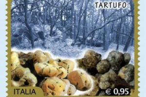 Dopo i vini Docg del Belpaese, adesso anche il tartufo avrà il suo francobollo. La vignetta mostra alcuni tartufi bianchi e neri e gli annulli speciali primo giorno di emissione saranno apposti in alcune delle più note “capitali” del prodotto