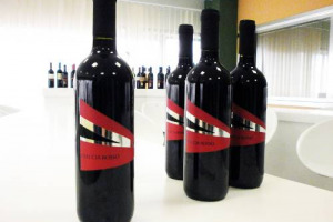 QUANDO SI DICE UN VINO &ldquo;AL SERVIZIO DEL TERRITORIO&rdquo;: &Egrave; IL CASO DEL &ldquo;FRECCIA ROSSO&rdquo;, DI CANTINE DUE PALME, UNA DELLE REALT&Agrave; LEADER DELLA PUGLIA ENOICA, PER CHIEDERE AL GOVERNO L&rsquo;IMPEGNO DI RICOLLEGARE LA REGIONE AL PAESE CON I TRENI AD ALTA VELOCIT&Agrave;