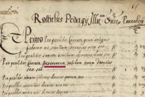 &ldquo;... pro qualibet carrata fresearorum solidum unum, denarios sex&rdquo;: con una bolla doganale del 1517 inizia ufficialmente la storia del Freisa, vino-vitigno piemontese che ha appena festeggiato i 500 anni di &ldquo;denominazione&rdquo;, e progetta il futuro