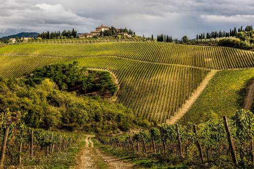 La bellezza della Tenuta Perano, di Frescobaldi, nel Chianti Classico