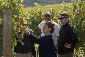 Creare un&rsquo;opera (e poi un&rsquo;etichetta) tra i vigneti di Brunello a Montalcino, ispirata alla Tenuta CastelGiocondo: lo faranno gli &ldquo;Artisti per Frescobaldi 2016&rdquo; Matthew Brannon, Eric Wesley e Patrizio Di Massimo (Gam Milano, 21 ottobre)