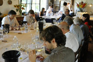 “FRIULANO & FRIENDS’” 2012 - LE AZIENDE FRIULANE CHE PRODUCONO I MIGLIORI SAUVIGNON, FRIULANO E PINOT GRIGIO? VENICA, TOROS E LIS NERIS. ECCO IL TOP DELL’ENOLOGIA MADE IN FRIÛL-VIGNESIE JULIE, BY ERSA FRIULI