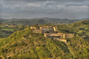 Le strategie necessarie per valorizzare un territorio del vino? Si sono &ldquo;dipinte&rdquo; e codificate in terra del bianco &ldquo;cortese&rdquo; Gavi. Riflessione interessanti tra uomini del vino, comunicatori, industriali, critici d&rsquo;arte ... Focus: il ritratto del Gavi