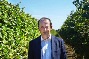 Genagricola, la holding agricola del Gruppo Generali Assicurazioni, punta forte sul vino. L&rsquo;ad Alessandro Marchionne a WineNews: &ldquo;obiettivo 50% di export e crescita dei prezzi medi nell&rsquo;arco di 3 anni, grazie alla crescita qualitativa dell&rsquo;offerta&rdquo;